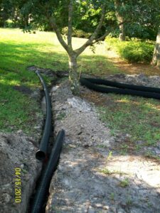 We routed the pipeline around the tree to protect its roots.